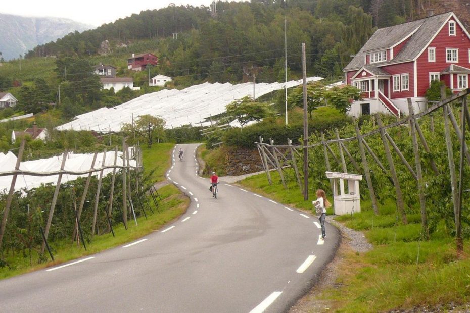 fiordi norvegesi in bici