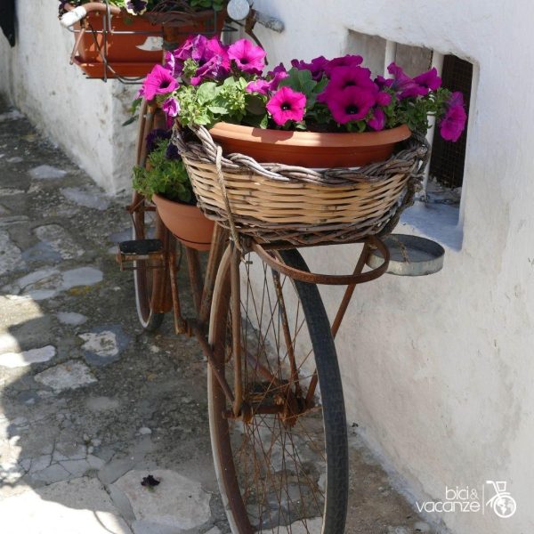 bici e fiori