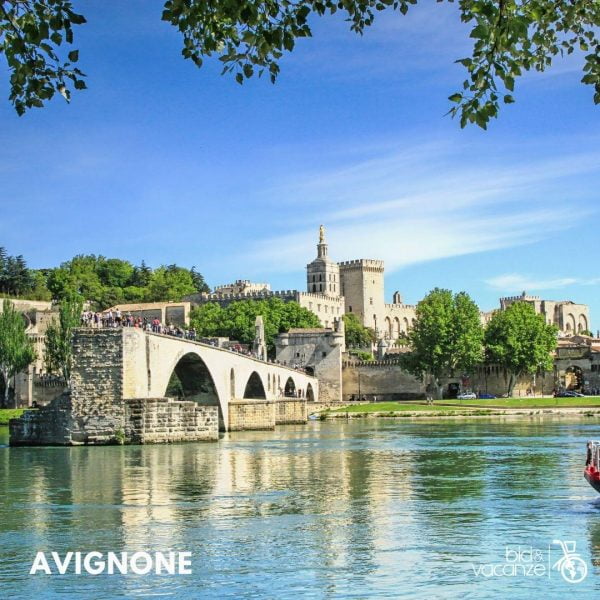 avignone