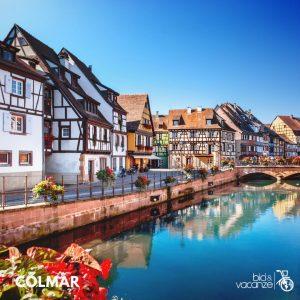 colmar case