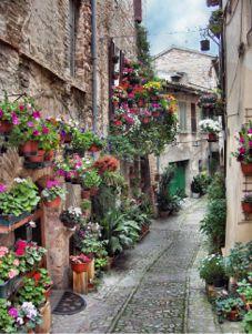 ASSISI
