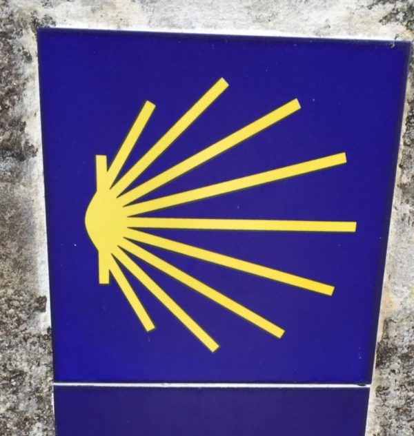 Conchjglia simbolo cammino di santiago di Compostela