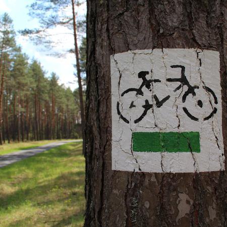albero bicicletta bici e vacanze