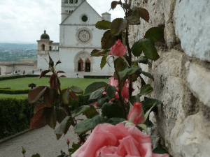 Assisi rose bici e vacanze