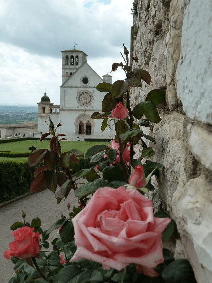 Assisi rose bici e vacanze
