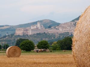 assisi, umbria, bici e vacanze, panorama