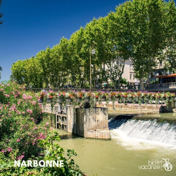 NARBONNE