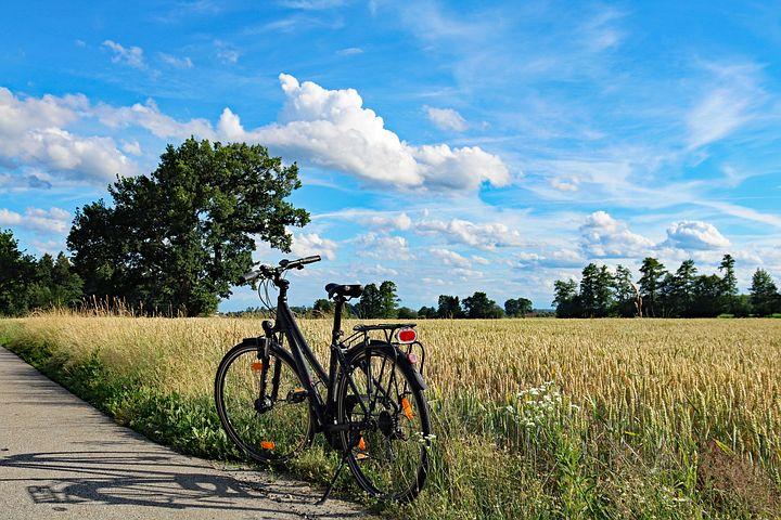 bici estate campo grano alberi bici e vacanze