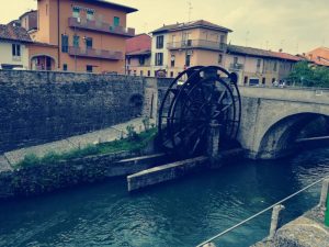 rudun di leonardo da vinci