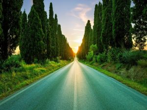bolgheri viale dei cipressi