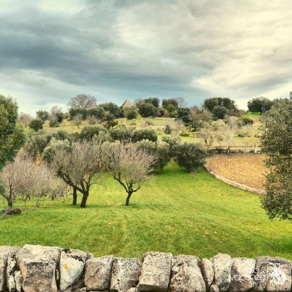 Guided tour: Cycling in Salento - APULIA/ITALY - Image 2