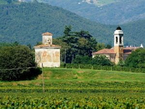 vineyards franciacorta