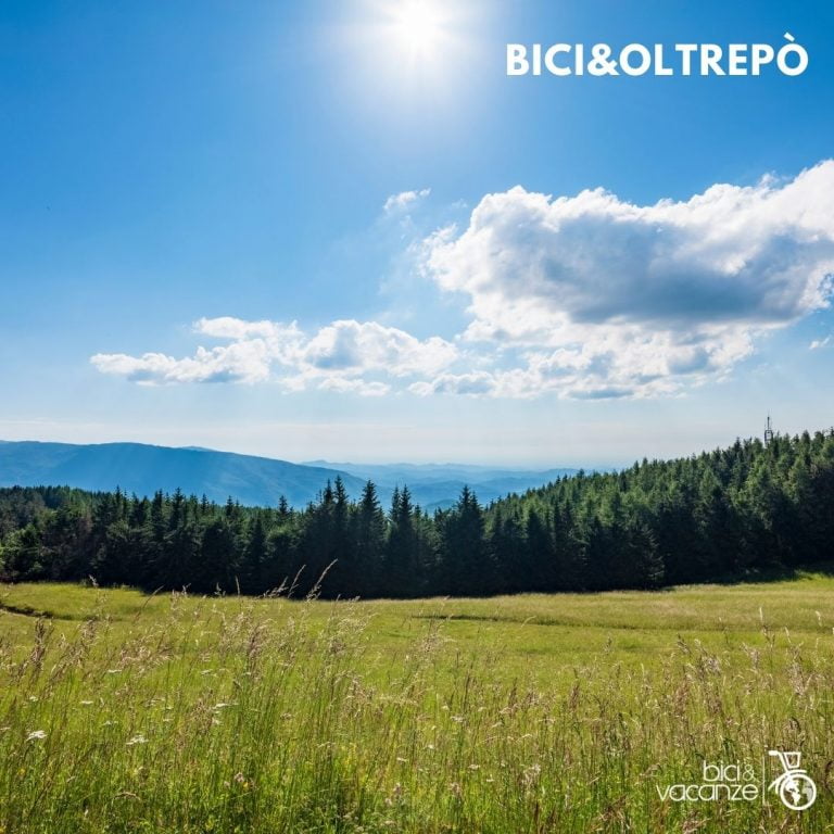 Tour e viaggi in bici e e-bike in oltrepò pavese; bici e vacanze