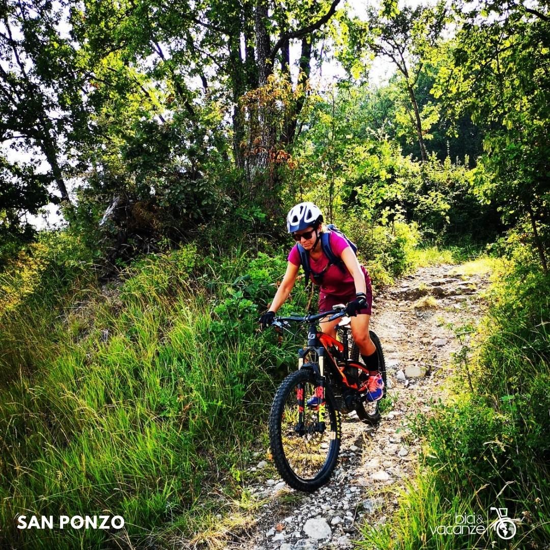 Week-end in bici Oltrepo Pavese con guida MTB | BicieVacanze