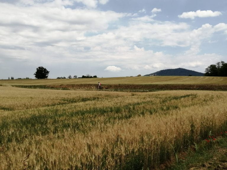 Tour e viaggi in bici e e-bike in oltrepò pavese; bici e vacanze