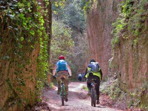 2 persone in bici bosco