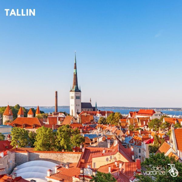 VISTA TALLIN