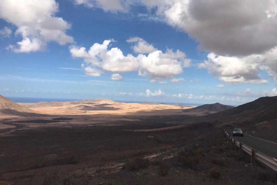 canarie