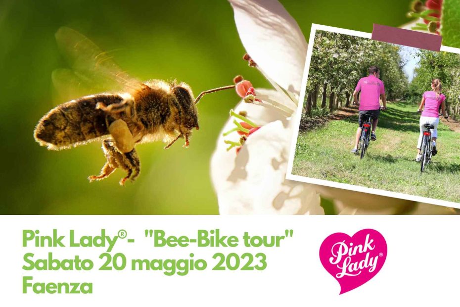 world bee day