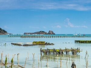 cancale