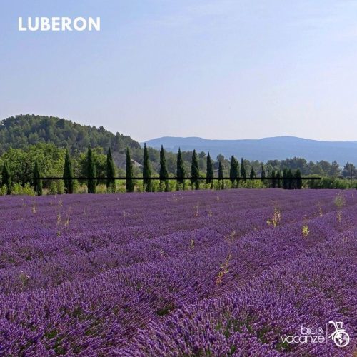 Tour in bici da corsa alta provenza, luberon, mount ventoux_francia_bici e vacanzE