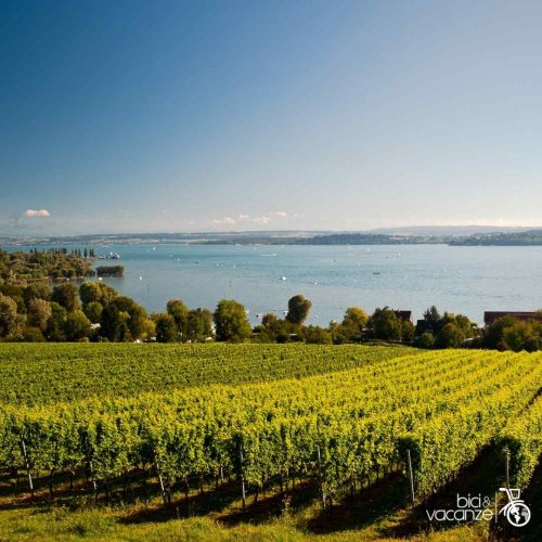 Lago di Costanza _ tour in bici_ Bici&Vacanze