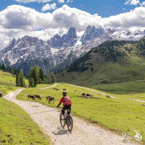Tour ciclabili dolomiti per famiglie_bici&vacanze